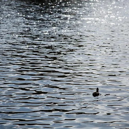 Sweets - Kinkerbrug شقة أمستردام