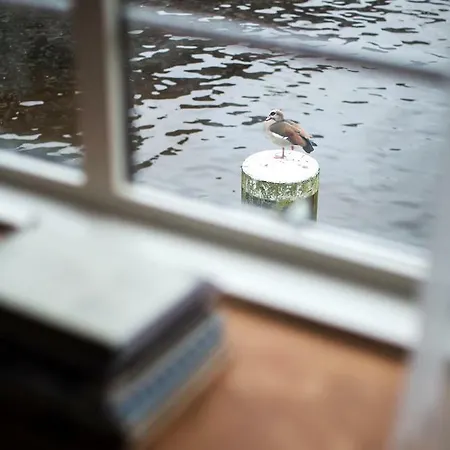 Sweets - Kinkerbrug Lejlighed