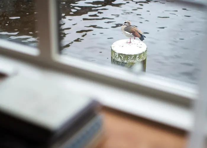 Διαμέρισμα Sweets - Kinkerbrug Άμστερνταμ