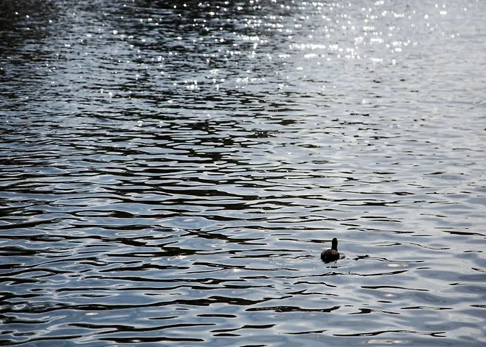 Sweets - Kinkerbrug Διαμέρισμα Άμστερνταμ