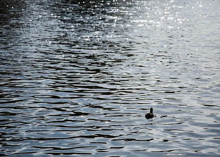 Sweets - Kinkerbrug *