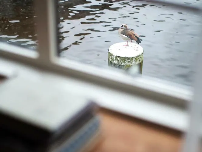 Sweets - Kinkerbrug Διαμέρισμα